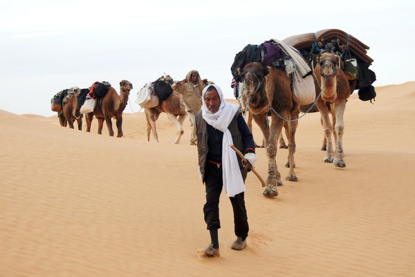 Mann mit Kamel-Karawane in Wüste
